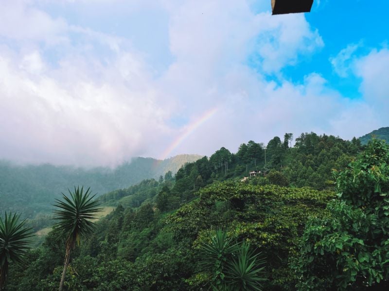 Life on the Mountain